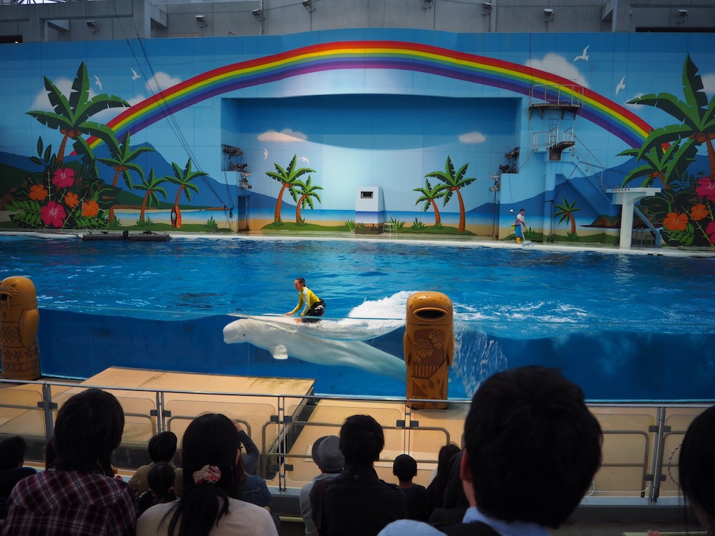 f:id:ohta6322:20151101004621j:image f:id:ohta6322:20151101004621j:image