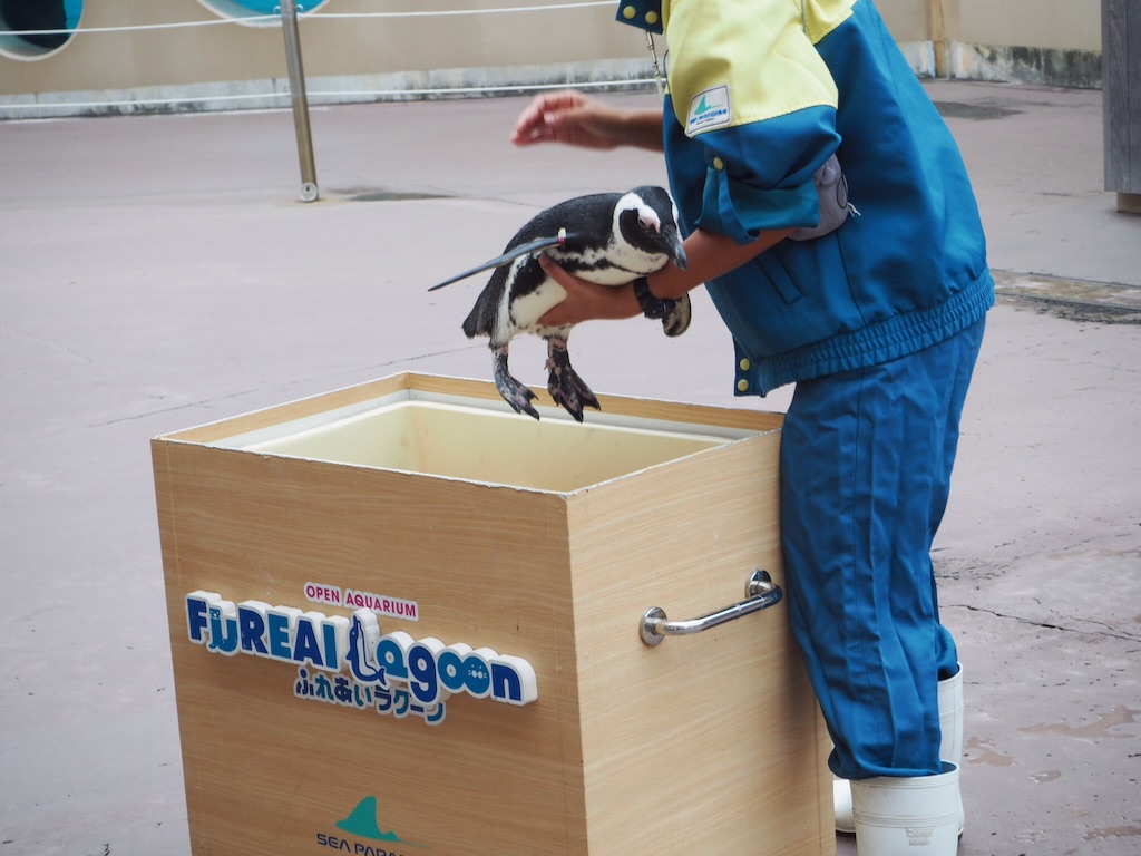 f:id:ohta6322:20151101004623j:image f:id:ohta6322:20151101004623j:image