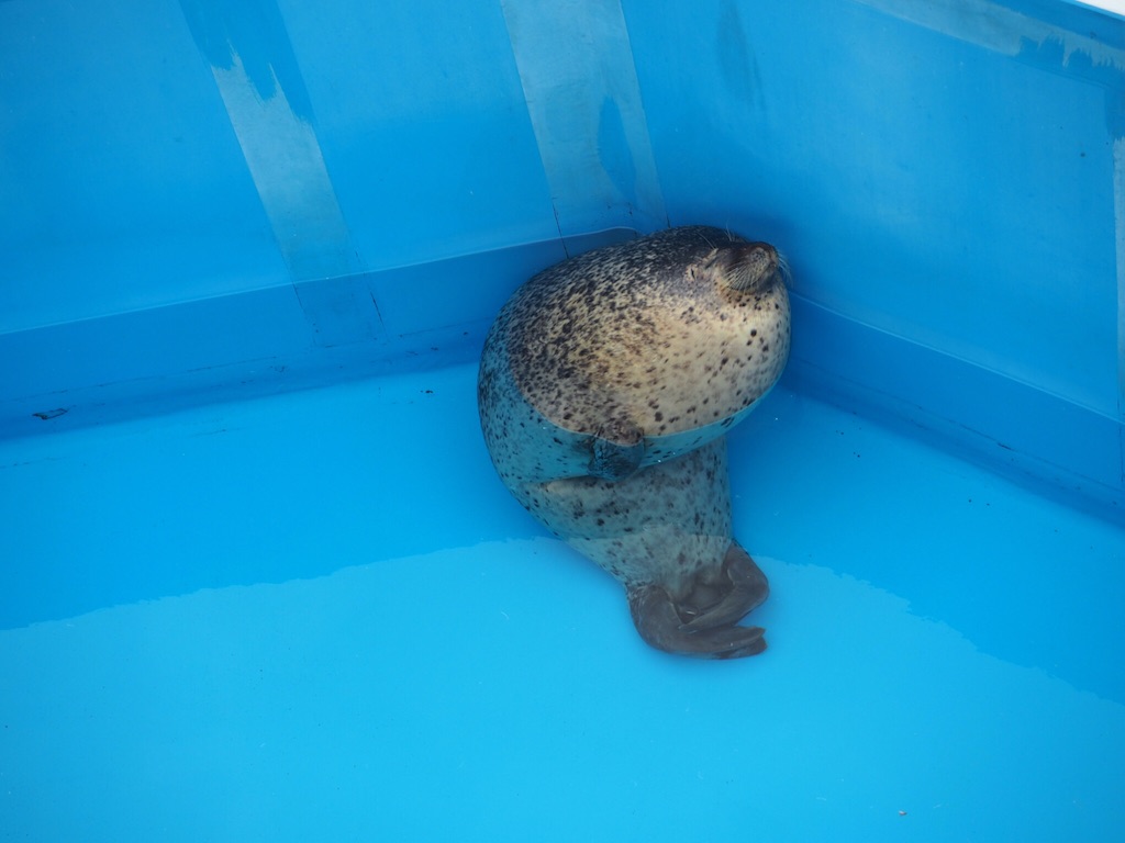 f:id:ohta6322:20151101004632j:image f:id:ohta6322:20151101004632j:image
