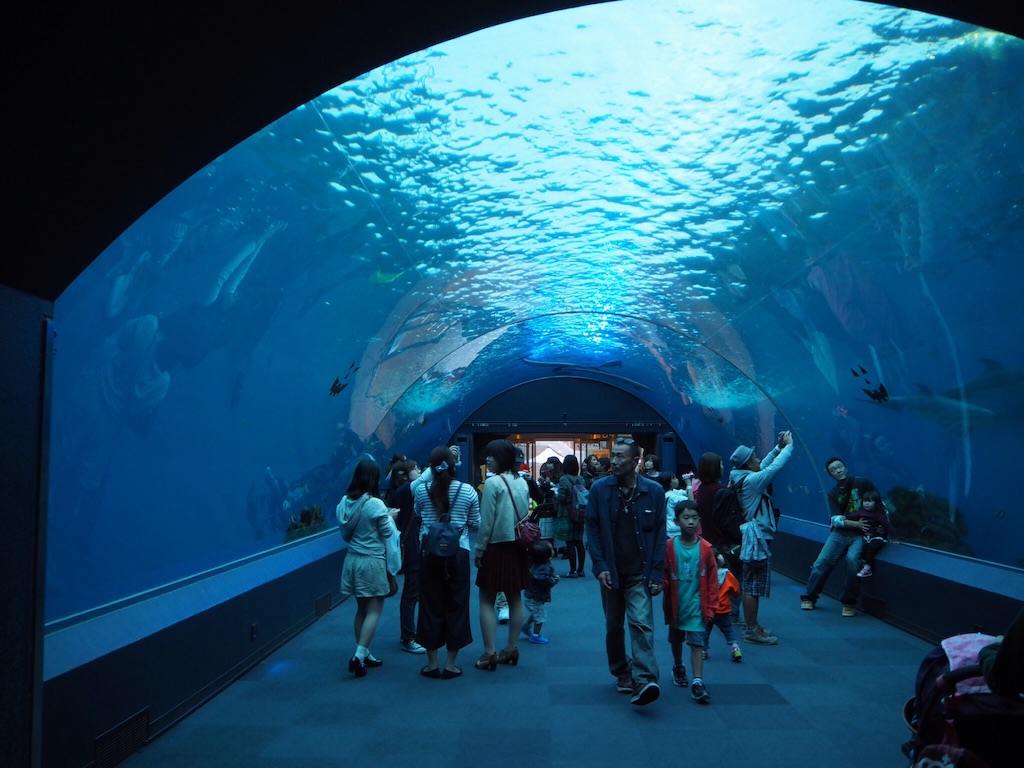 f:id:ohta6322:20151101004825j:image f:id:ohta6322:20151101004825j:image