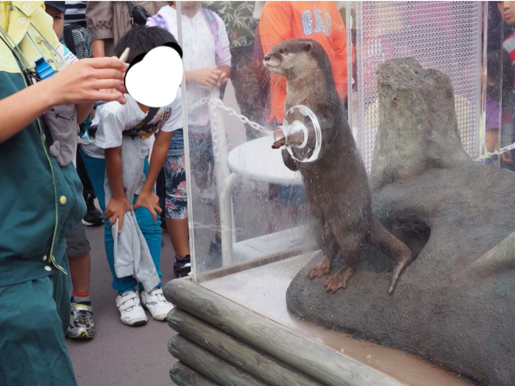 f:id:ohta6322:20151101004832p:image f:id:ohta6322:20151101004832p:image