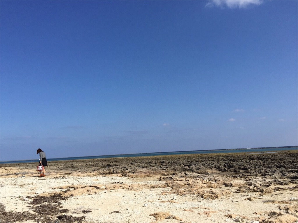 f:id:ohta6322:20160104220628j:image f:id:ohta6322:20160104220628j:image