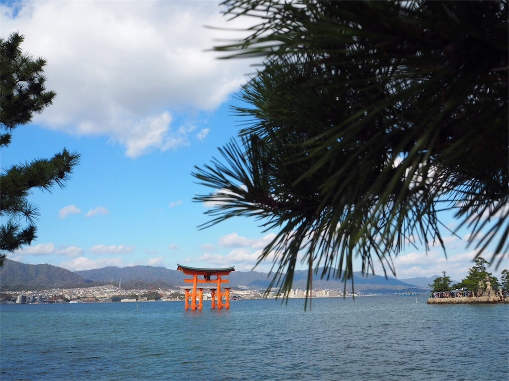f:id:ohta6322:20160104222558j:image f:id:ohta6322:20160104222558j:image