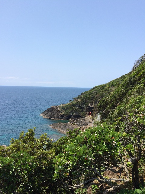 f:id:ohtsukajumpei:20150503124717j:image f:id:ohtsukajumpei:20150503124717j:image