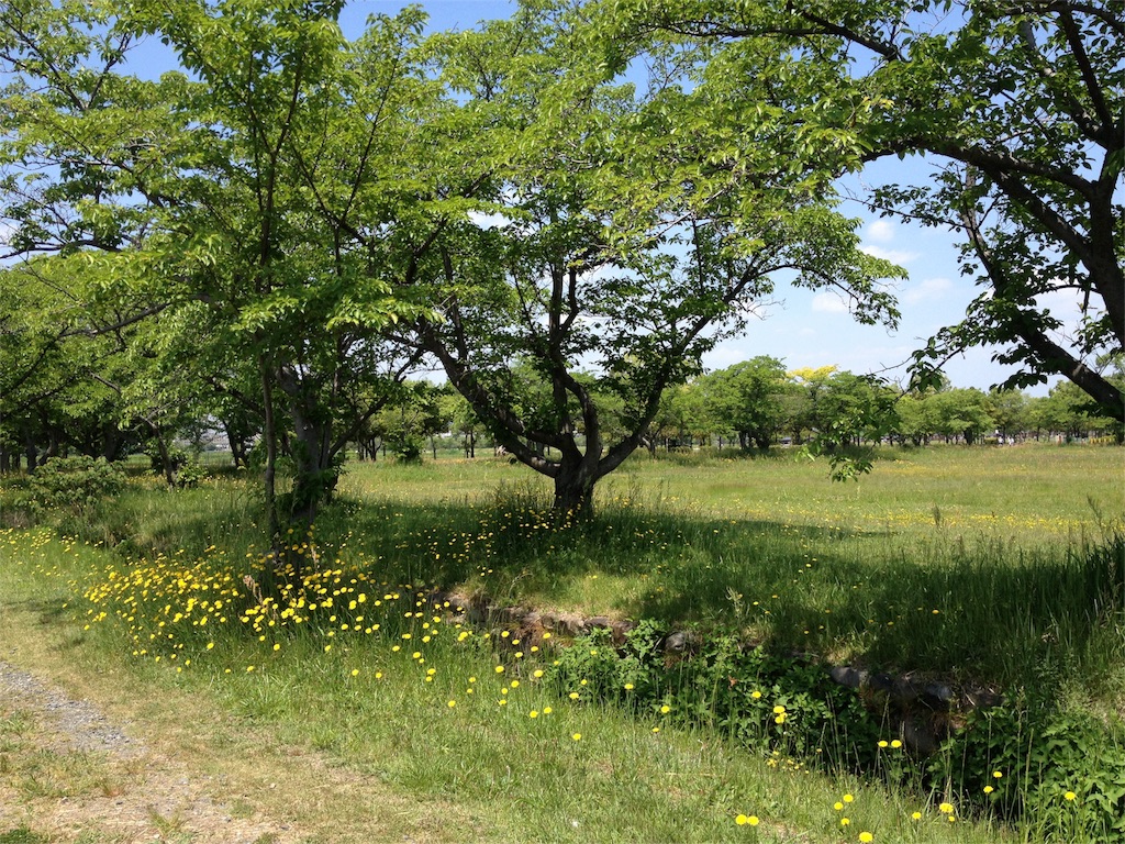 f:id:ohuchigoto:20160616105755j:image f:id:ohuchigoto:20160616105755j:image