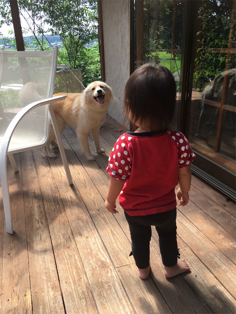 f:id:ohuchigoto:20160708072829j:image f:id:ohuchigoto:20160708072829j:image