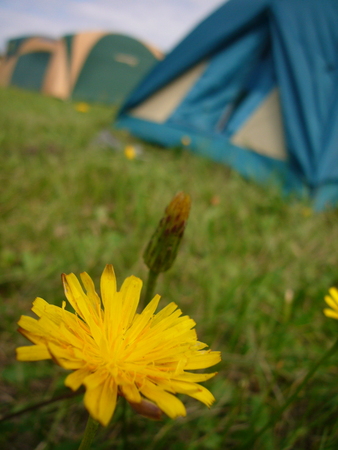 f:id:oisi-udon:20070818085435j:image f:id:oisi-udon:20070818085435j:image