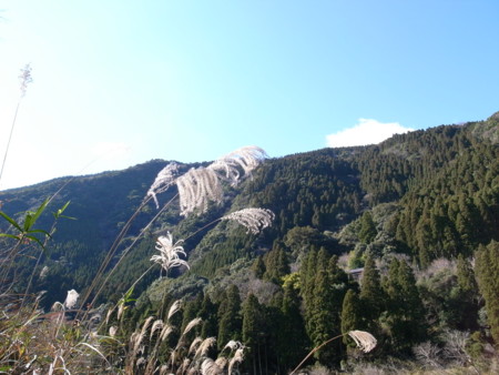 f:id:oisi-udon:20090103121657j:image f:id:oisi-udon:20090103121657j:image