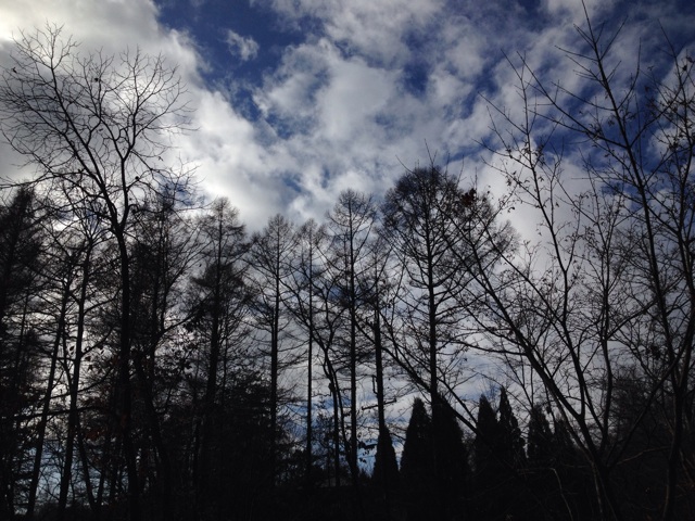 f:id:oiwakedoggies:20141203110322j:plain f:id:oiwakedoggies:20141203110322j:plain