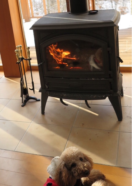 f:id:oiwakedoggies:20141230183107j:plain f:id:oiwakedoggies:20141230183107j:plain