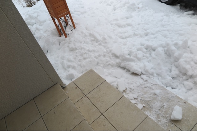 f:id:oiwakedoggies:20150101121529j:plain f:id:oiwakedoggies:20150101121529j:plain