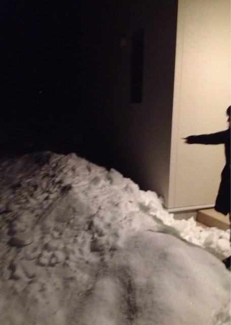 f:id:oiwakedoggies:20150124125014j:plain f:id:oiwakedoggies:20150124125014j:plain