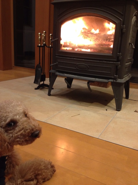 f:id:oiwakedoggies:20150128093542j:plain f:id:oiwakedoggies:20150128093542j:plain