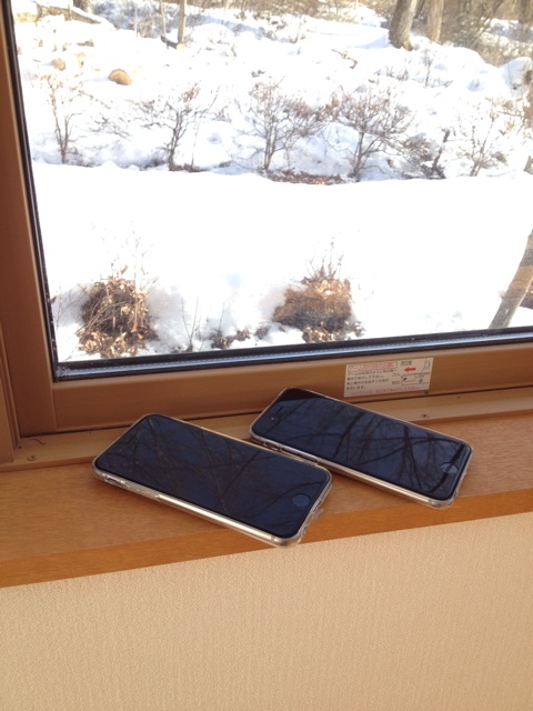 f:id:oiwakedoggies:20150128153503j:plain f:id:oiwakedoggies:20150128153503j:plain
