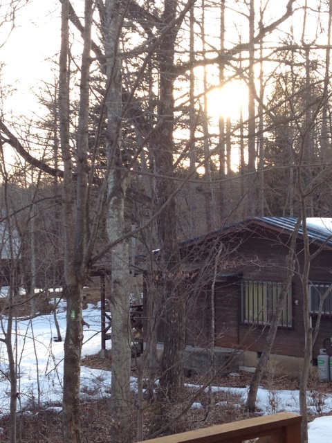 f:id:oiwakedoggies:20150223151013j:plain f:id:oiwakedoggies:20150223151013j:plain
