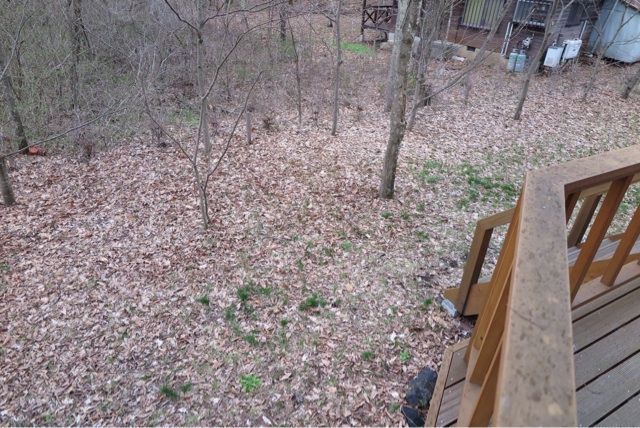 f:id:oiwakedoggies:20150417090448j:plain f:id:oiwakedoggies:20150417090448j:plain