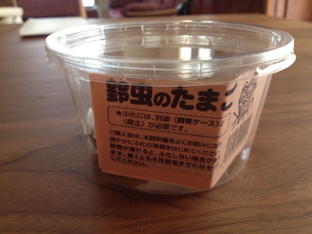 f:id:oiwakedoggies:20150701132449j:plain f:id:oiwakedoggies:20150701132449j:plain