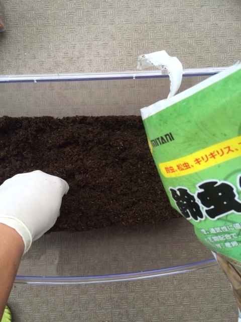 f:id:oiwakedoggies:20150701144245j:plain f:id:oiwakedoggies:20150701144245j:plain