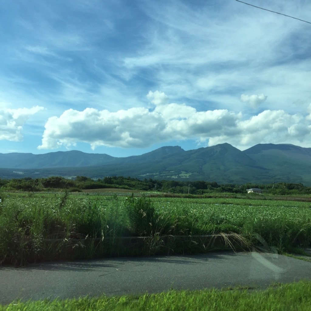 f:id:oiwakedoggies:20150726175932j:image f:id:oiwakedoggies:20150726175932j:image