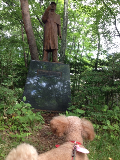 f:id:oiwakedoggies:20150727143502j:plain f:id:oiwakedoggies:20150727143502j:plain
