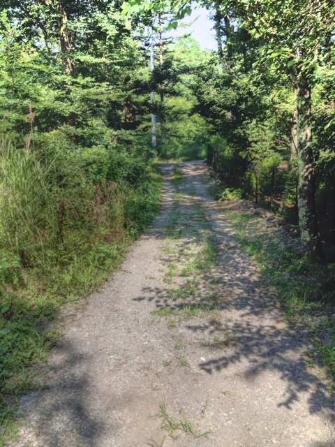 f:id:oiwakedoggies:20150810155008j:plain f:id:oiwakedoggies:20150810155008j:plain