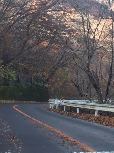f:id:oiwakedoggies:20151116181428j:plain f:id:oiwakedoggies:20151116181428j:plain