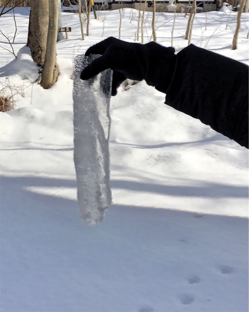 f:id:oiwakedoggies:20160212235618j:image f:id:oiwakedoggies:20160212235618j:image