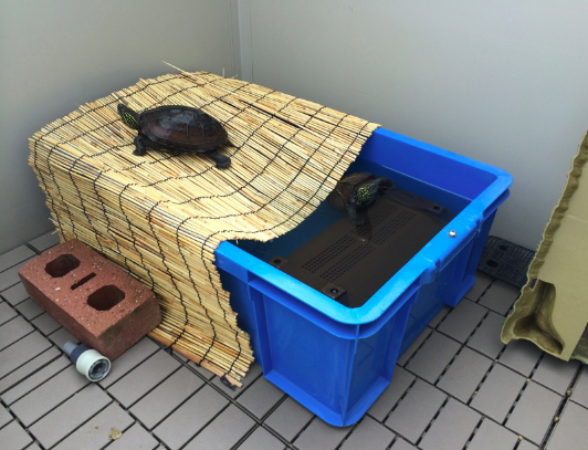 f:id:ojimagogo:20140528001732p:plain