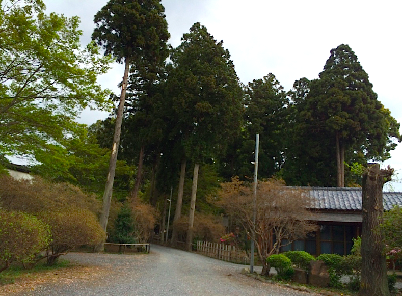 f:id:ojimagogo:20160417213030p:plain