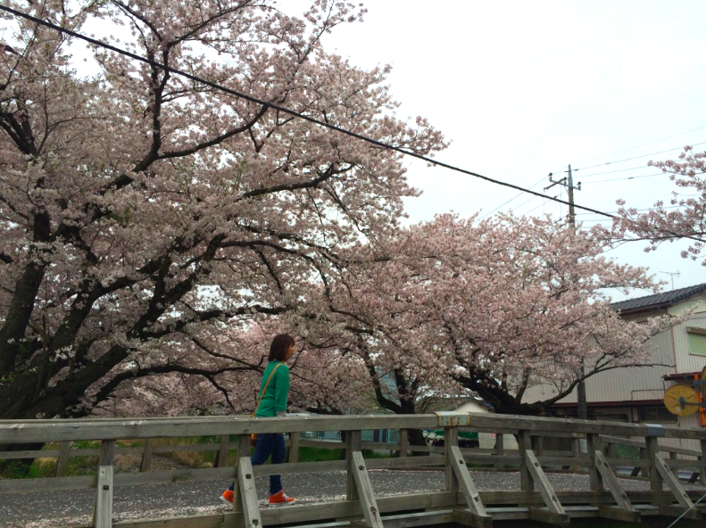 f:id:ojimagogo:20160417213340p:plain