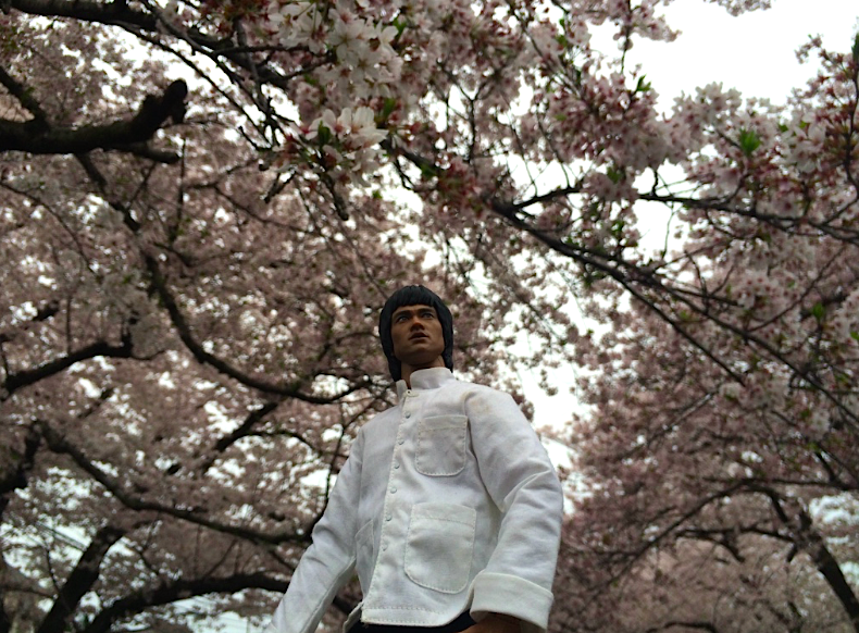 f:id:ojimagogo:20160417213527p:plain