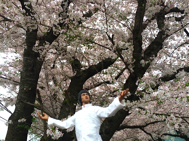 f:id:ojimagogo:20160417215542p:plain