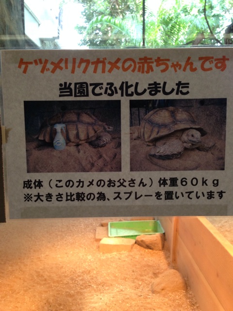 f:id:oka_p:20140526180200j:plain f:id:oka_p:20140526180200j:plain