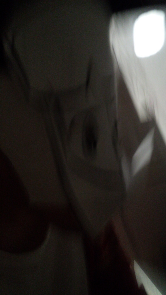 f:id:okamiwa26:20160406213253j:plain f:id:okamiwa26:20160406213253j:plain