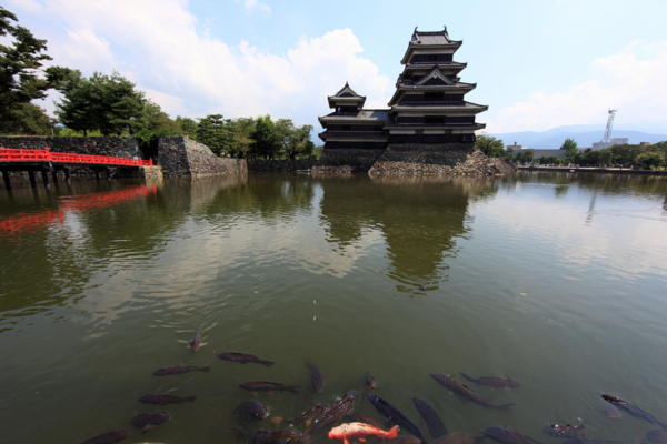 f:id:okamurauchino:20110106064336j:image f:id:okamurauchino:20110106064336j:image