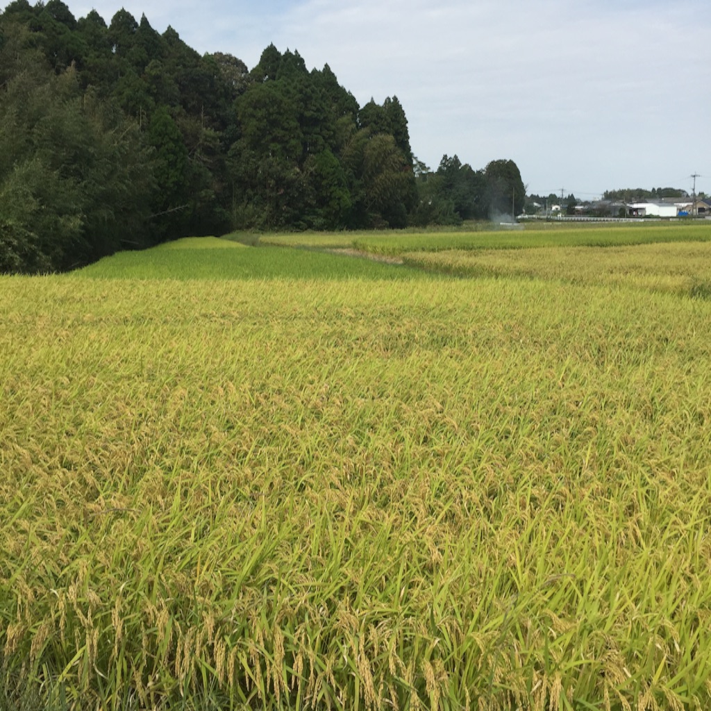 f:id:okashimuze:20151007033921j:image f:id:okashimuze:20151007033921j:image