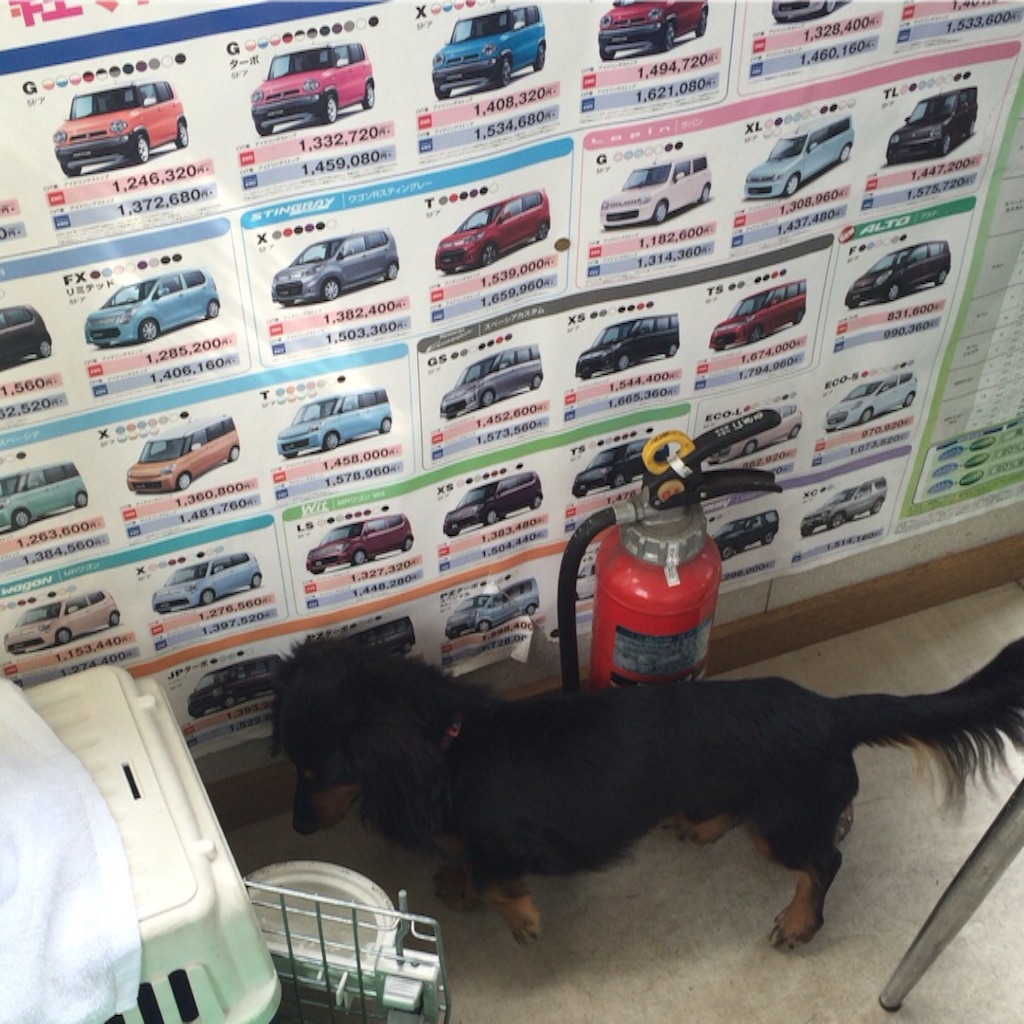 f:id:okashimuze:20151007040116j:image f:id:okashimuze:20151007040116j:image