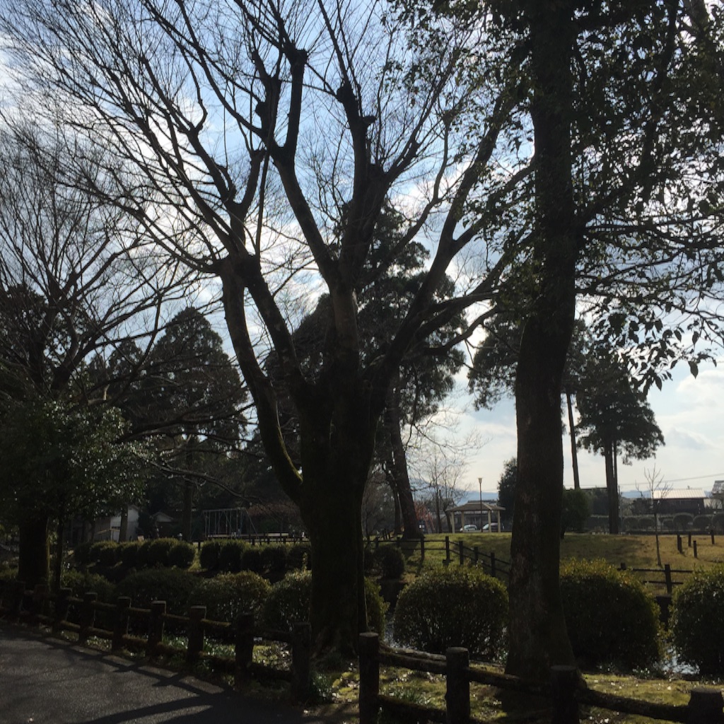 f:id:okashimuze:20160101015414j:image f:id:okashimuze:20160101015414j:image