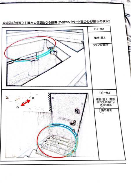 f:id:okayo_chan:20141014135603j:plain f:id:okayo_chan:20141014135603j:plain