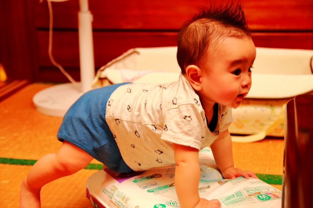 f:id:oki-umeboshi:20160514232319j:plain f:id:oki-umeboshi:20160514232319j:plain