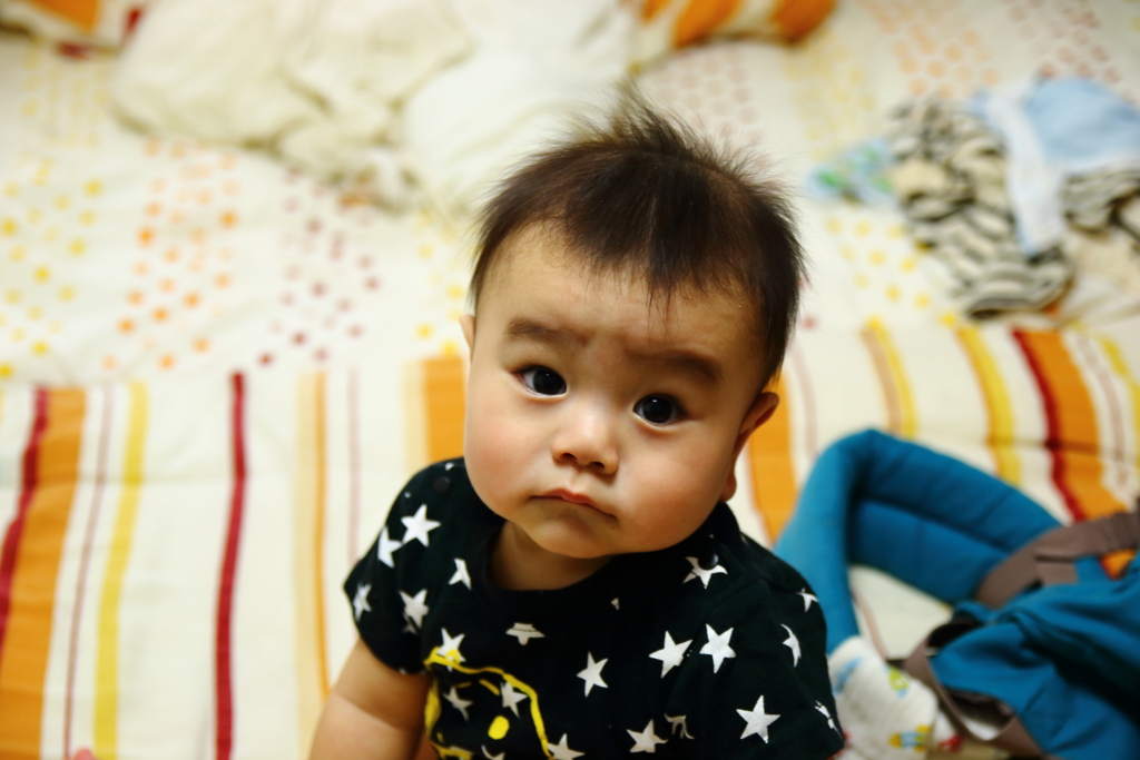 f:id:oki-umeboshi:20160519234902j:plain