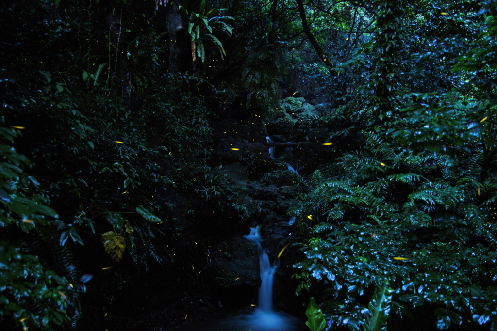 f:id:oki-umeboshi:20160520181847j:plain f:id:oki-umeboshi:20160520181847j:plain