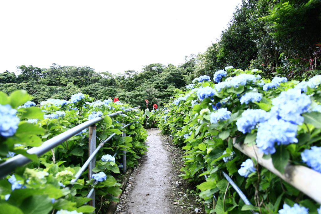 f:id:oki-umeboshi:20160523231343j:plain