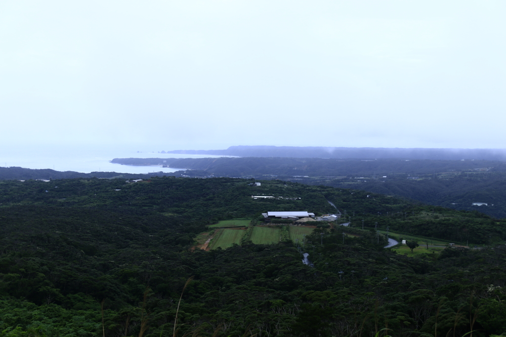 f:id:oki-umeboshi:20160523233925j:plain