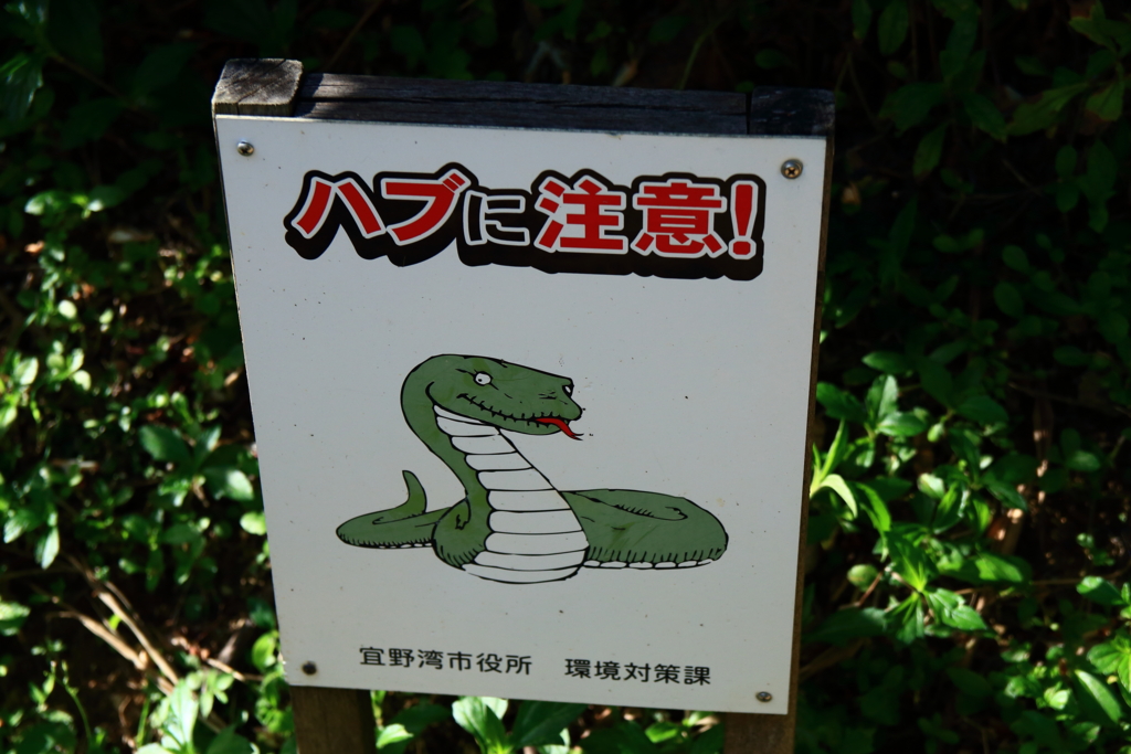 f:id:oki-umeboshi:20160528222131j:plain