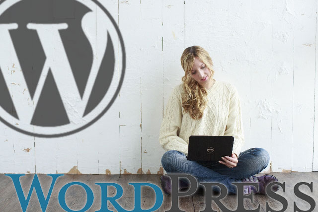 f:id:okinawapunk:20160407160119j:plain f:id:okinawapunk:20160407160119j:plain