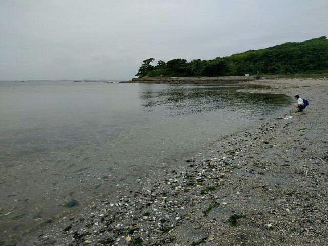 f:id:okinodokus:20160724212422j:image f:id:okinodokus:20160724212422j:image