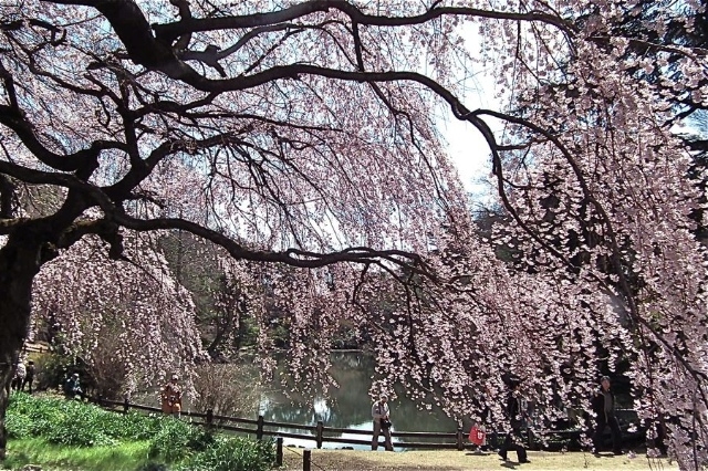 f:id:okiraku_tonbo:20120409103940j:plain f:id:okiraku_tonbo:20120409103940j:plain
