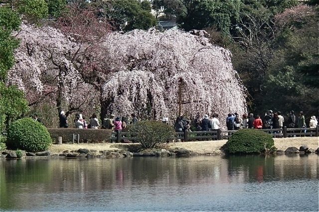 f:id:okiraku_tonbo:20120409104007j:plain f:id:okiraku_tonbo:20120409104007j:plain