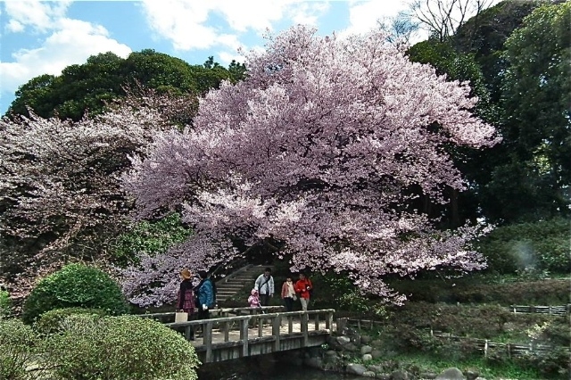 f:id:okiraku_tonbo:20120409104052j:plain f:id:okiraku_tonbo:20120409104052j:plain